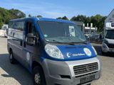 Fiat Ducato 100 KASTEN *ausfahrbare Rampe* - Fiat Ducato: Kasten