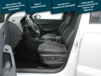 Cupra Ateca - Vorschau Bild 5