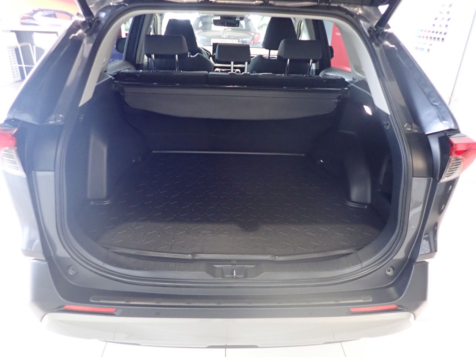 Fahrzeugabbildung Toyota RAV 4 Hybrid 4x2 Team Deutschland