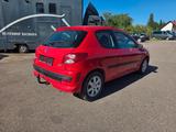 Peugeot 206 + Basis - Peugeot 206: Rot