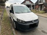 Volkswagen Caddy 1,6TDI 55kW Tramper Tramper - Volkswagen Caddy: Tramper