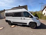 Knaus Boxstar Road 540 60 Jahre Edition  - Offers