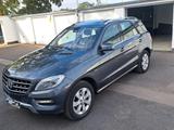 Mercedes-Benz ML 350 BlueTEC 4MATIC  - Mercedes-Benz ML 350: 4matic
