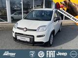 Fiat Panda 1.0 Mild Hybrid - Fiat Panda Gebrauchtwagen in Bielefeld