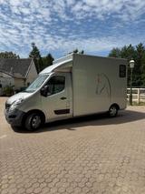 Renault Master 2- Pferdetransporter