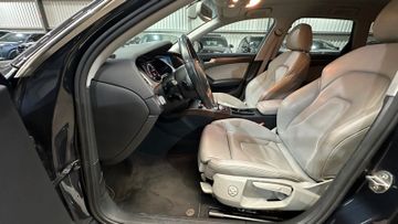 Audi A4 Allroad - 8
