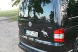 Volkswagen T5 Multivan - gebrauchte VW T5 Multivan aus dem Jahr 2003