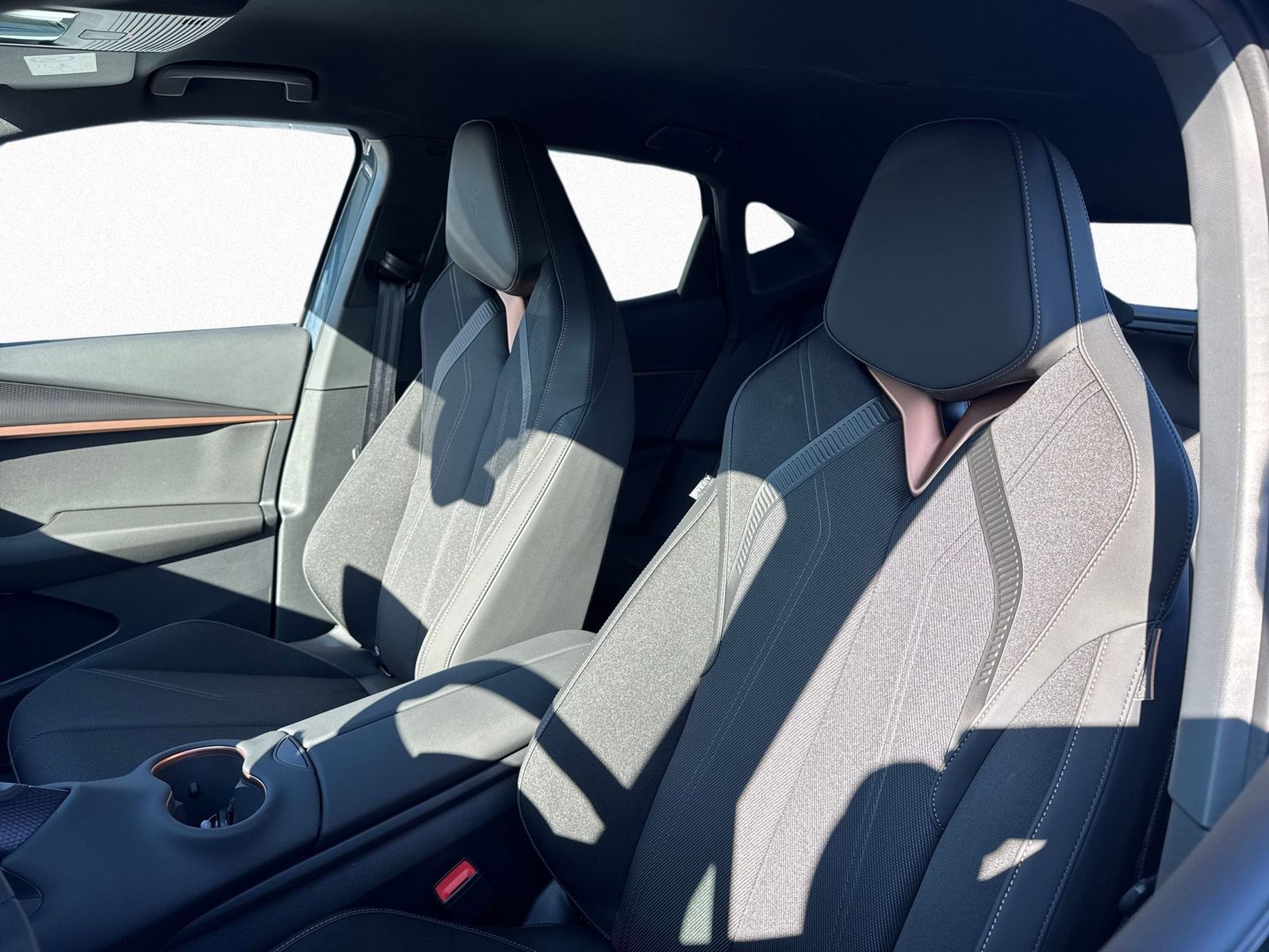 Cupra Tavascan - Bild 9