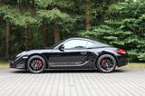 Porsche Cayman S Black Edition Sportabg. - Schalensitze - Porsche Cayman: Black Edition