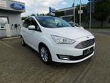 Ford C-Max C-MAX Titanium Panodach/Navi/AHK - Ford C-Max Gebrauchtwagen in Dortmund