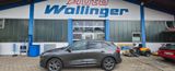 Vorschaubild Ford Kuga ST-Line X, ALLRAD, Automatic,NAVI,Kamera