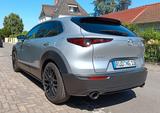 Mazda CX-30 150PS Homura | Werksgarantie  - Mazda CX-30: Homura