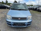 Fiat Panda 1.2 8V Dynamic * Klima* - Fiat Panda aus 2008