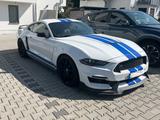 Ford Mustang 5.0 V8 *GT 350 Optik* - Ford Mustang: 350gt
