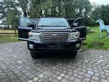 Toyota Land Cruiser 200 Executive 7Sitz. - Toyota Land Cruiser aus 2012 mit Diesel-Antrieb