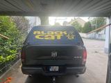 Dodge RAM 5.7 Hemi Quadcap LPG mit Hardtop - Dodge RAM: Hardtop