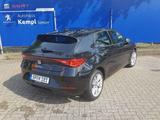 Seat Leon 1.0 eTSI OPF DSG Style Edition - Seat Leon: Limousine