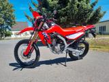 Honda CRF 300 L  grau und rot am Lager - HONDA CRF 300 L