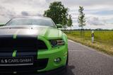 Ford Mustang 5.0 V8 Gt 500 Body Kit.  ROUSH Abgas A. - Ford Gebrauchtwagen von 2013