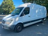 Mercedes-Benz Mercedes Sprinter MAXI 313CDi TÜV 6/2027 v... - Mercedes-Benz Sprinter: 313 Cdi Maxi