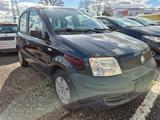 Fiat Panda - Fiat Panda: Schwarz
