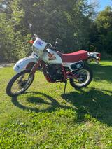Honda XL600R PD03 - HONDA XL 600