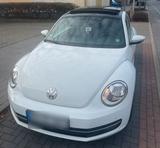 Volkswagen Vw Beetle 5c 1.6 tdi Panorama Sitzheizung ... - Volkswagen Beetle 5C