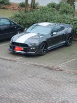 Ford Mustang 3.7 mit Shelby optik - Ford: Shelby