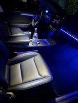 Tesla Model Y Performance Dual Motor AWD Performance