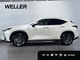 Lexus NX 350h Luxury Line *Pano*LED*Navi*Leder*360° - Lexus: Nx