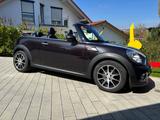 MINI Cooper Cabrio Highgate Highgate - MINI Cooper Cabrio: Kleinwagen