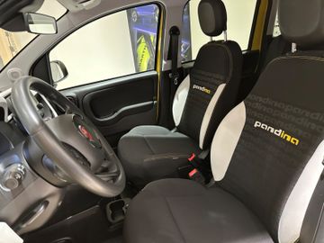 Bild 9 Fiat Panda Pandina Cross