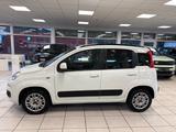 Fiat Panda Easy - gebrauchte Fiat Panda aus dem Jahr 2020
