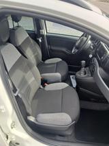 Fiat Panda 1.0 GSE Hybrid - - gebrauchte Fiat Panda aus dem Jahr 2021