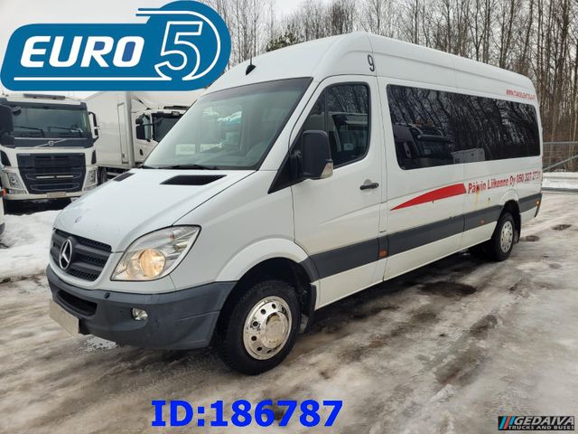 Mercedes-Benz Sprinter 516 - 17-seater - Euro5