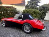 Austin Healey 3000 MK1 komplett restauriert  - Austin Healey: Mk1