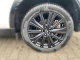 Mazda CX-5 2.5 SKYACTIV-G 194 Homura LED Navi PDC AUT - Mazda CX-5 Gebrauchtwagen