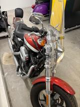 Harley-Davidson Sportster 1200 Custom Limited A - Harley-Davidson Motorräder in Braunschweig