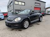 Volkswagen Beetle Cabriolet - Volkswagen Beetle mit Diesel-Antrieb: Cabrio