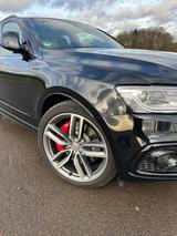 Audi SQ5 3.0 TDI plus quattro-AHK*STHZG* PANO*8xALU - Audi SQ5: Plus
