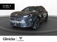 Cupra Terramar - Vorschau Bild 1