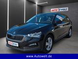 Skoda Scala TSI 1. Hand Klima Apps Tempomat Parkhilfe