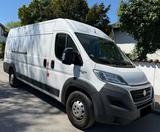 Fiat Ducato Maxi Grossr.-Kasten 35 180 Power L5H2 RS - Fiat Ducato: L5h3