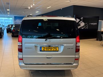 Mercedes Viano - 8