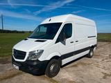 Mercedes-Benz Sprinter 516 CDI 2 Schiebet./Standhzg. /Temp - Mercedes-Benz Sprinter: 5t