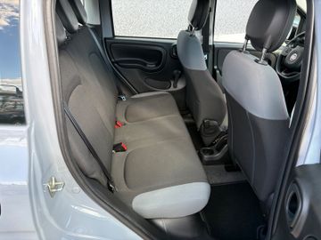 Fahrzeugabbildung Fiat Panda Easy DAB+ UConnect Klima SHZ uvm.