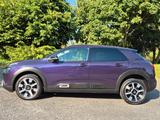 Citroën C4 Cactus Shine PureTech 110 S&S*NAVI*SH - gebrauchte Citroën C4 Cactus aus dem Jahr 2019