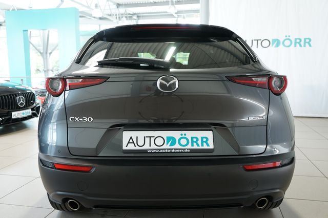 Vorschau Auto