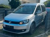Volkswagen Caddy Kasten/Kombi Roncalli Trendline 4Motion - : Allradantrieb, Van