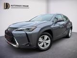 Lexus UX 250h*Hybrid*Kamera*AHK*Navi*Klimaaut* - Lexus aus 2021